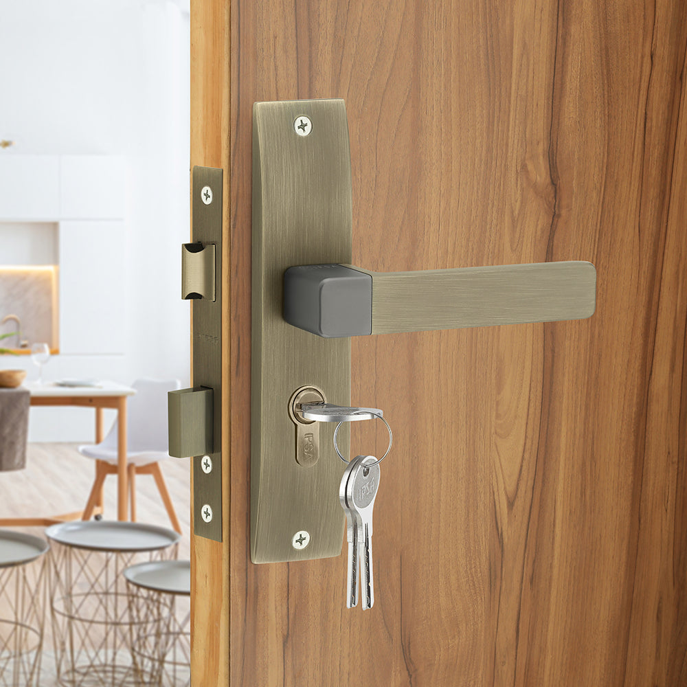 IPSA Ink Iris Handle Series on 8" Plate CYS Lockset with 60mm One Side Key and Knob - Matte Finish MAB